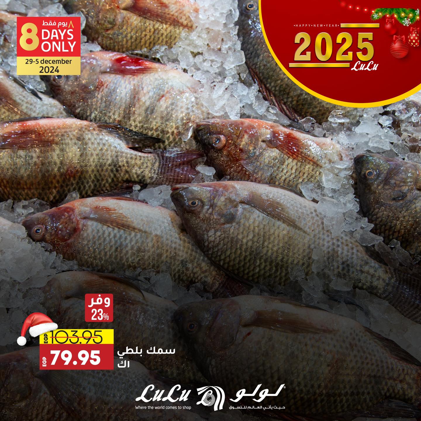 lulu-hypermarket offers from 29dec to 31dec 2024 عروض لولو هايبر ماركت من 29 ديسمبر حتى 31 ديسمبر 2024 صفحة رقم 7